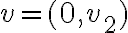 v=(0,v_2)