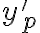 y_p'