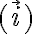  ( \vec{i} ) 