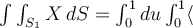  \int\int_{S_{1}}X\, d S = \int_{0}^{1}du \int_{0}^{1} \langle 