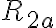 R_{2a}