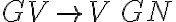  GV \rightarrow V\, GN 