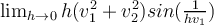  \lim_{h \rightarrow 0} h(v_1^2+v_2^2)sin(\frac{1}{hv_1}) 