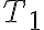 T_{1} T_{1}