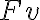  Fv 