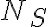  N_S  