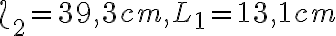 \L_2=39,3 cm , L_1=13,1 cm \L_2=39,3 cm , L_1=13,1 cm