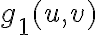 g_1(u,v)