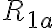 R_{1a}