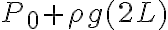 P_0+\rho g(2L) P_0+\rho g(2L)
