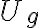  U_g 