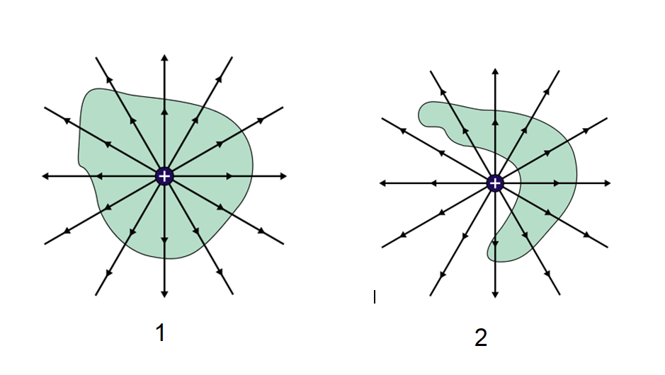 Adjunto gauss.png